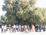 The gathering