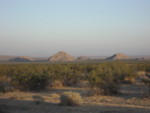 Desert